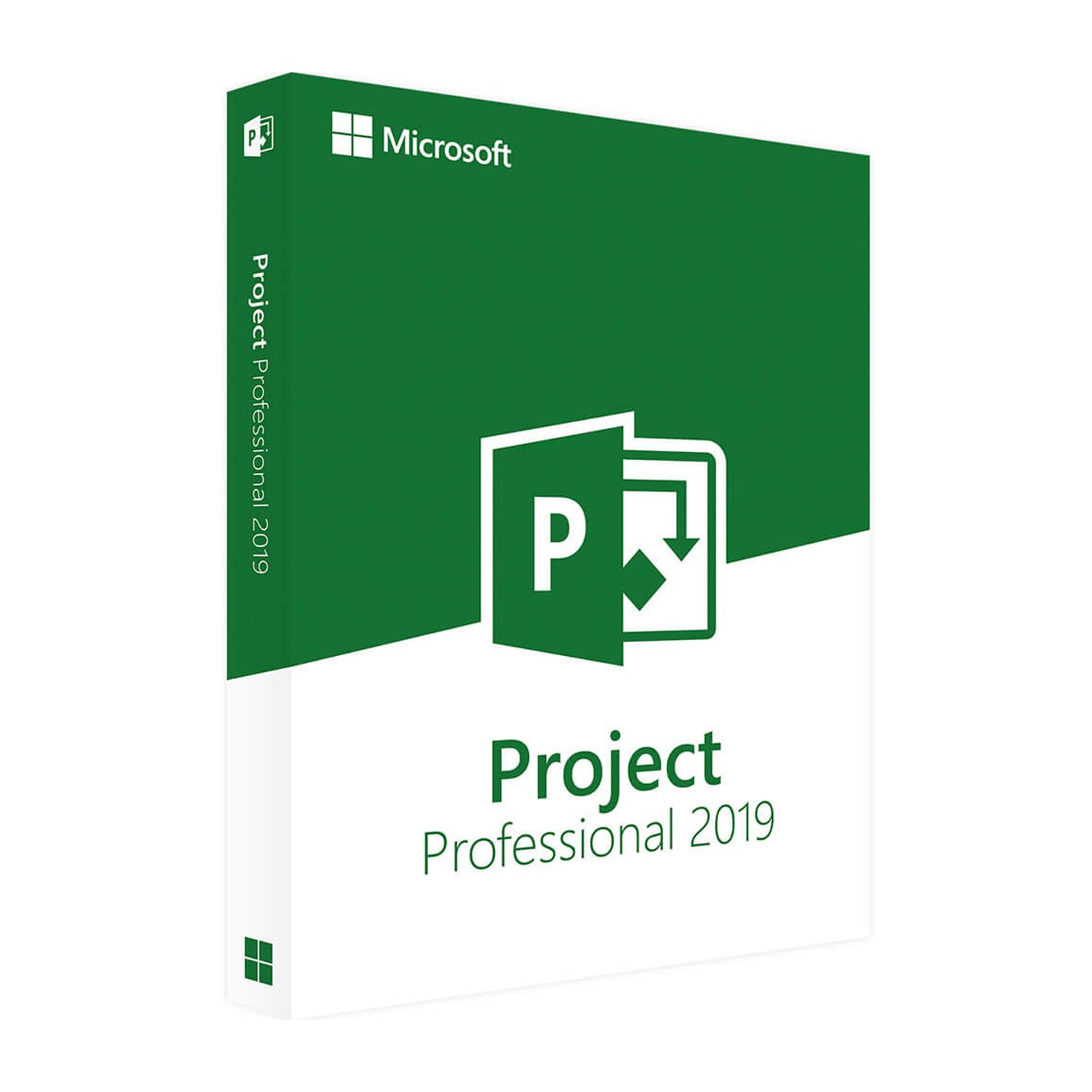 Project 2019 Professional Project 2019 Professional
