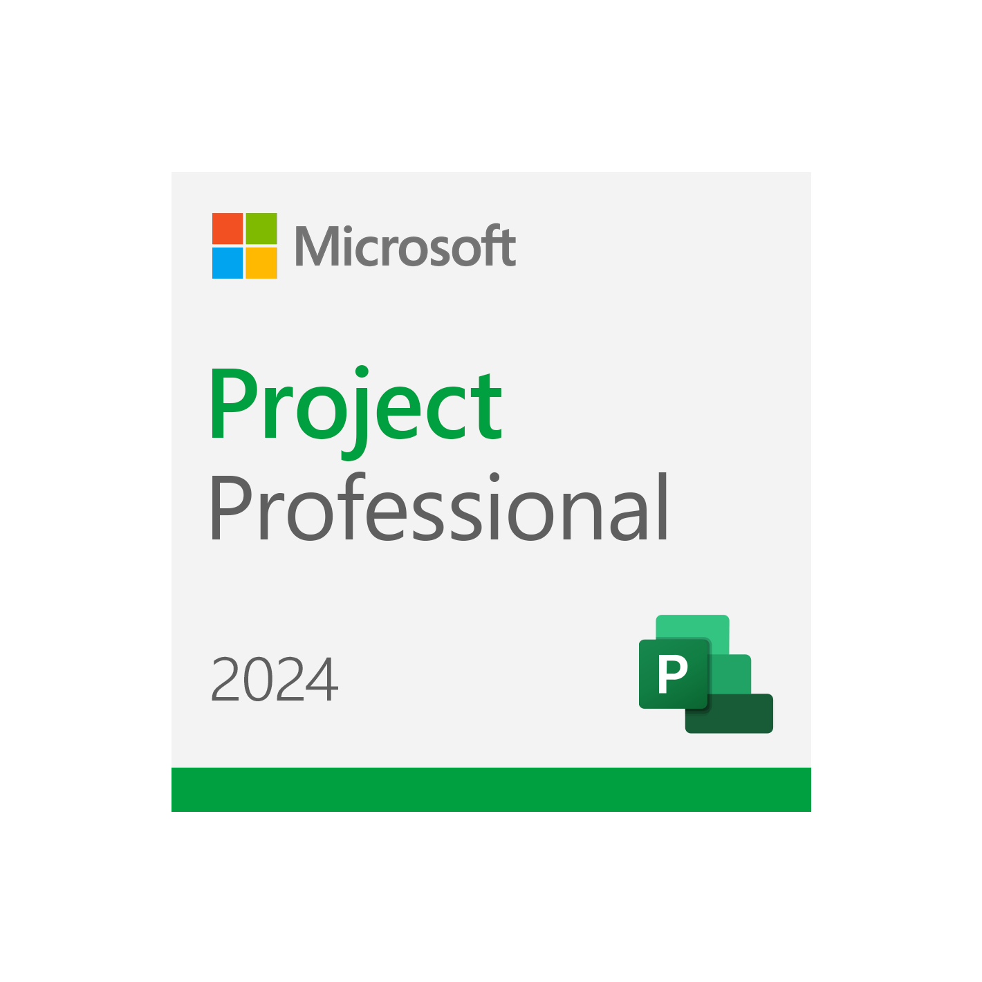 Project 2024 Professional Project 2024 Professional